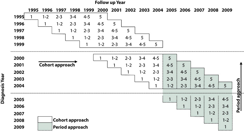 Cali Cancer Population Registry. Monitoring structure for the analysis of survival of cancer cases in permanent residents of Cali during the 1995-2009 interval with follow-up until 2009-12-31. Three 5-year periods were analyzed: 1995-1999, 2000-2004 and 2005-2009. Cohort approach between 1995-2004 and between 2005-2009. In contiguous cells the complete tracking of an interval was described. Example: All patients with a diagnosis in 1995 complete one year of follow-up in 1996, except for those diagnosed in 1995-01-01.