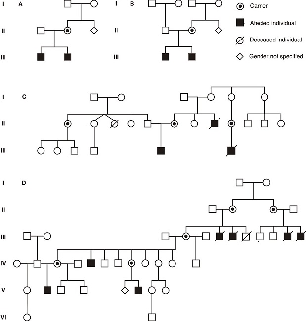 Pedigrees of families of the participant individuals. Note that patients are cited on the tables with their assigned pedigree numbers.