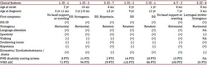 Results from the clinical evaluation of patients with Pelizaeus Merzbacher Disease.