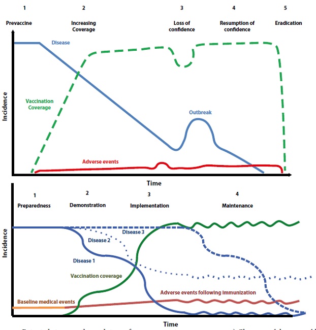 Potential stages in the evolution of an immunization programme. a) Classic model proposed by Chen RT et al (Reprinted from Chen RT, Rastogi SC, Mullen JR, Hayes SW, Cochi SL, Donlon JA, et al. The vaccine adverse event reporting system (VAERS). Vaccine. 1994; 12(6): 542-50. Copyright 1994, with permission from Elsevier b) Proposed model for a proactive immunization programme