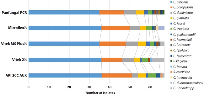 Distribution of species classified according to the identification methodology