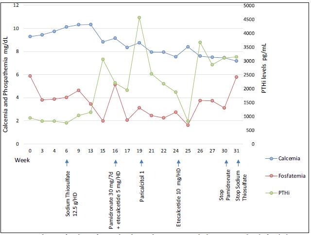 Evolution of analysis of serum biochemical parameters at the beginning and end of each therapy. The average serum levels ​​of calcium and phosphate were 8.66 mg/dL (8.2-10.2 mg/dL] and 3.52 mg/dL (2.7-4.5 mg/dL) respectively, with and average calcium x phosphate product of 30.78 mg/dL. The average value of PTHi was 2,075.89 pg/mL (15-65 pg/mL).