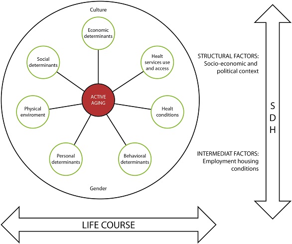 Conceptual model of the SABE Colombia survey. Adapted from the framework of the Determinants of Active aging.