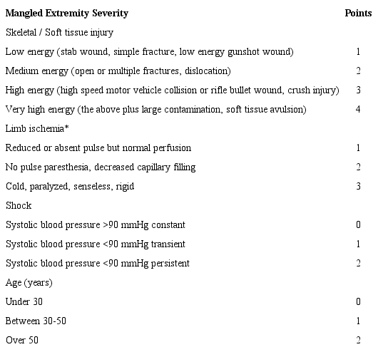 Modified from the Mangled Extremity Severity scale (MESS) 11. 