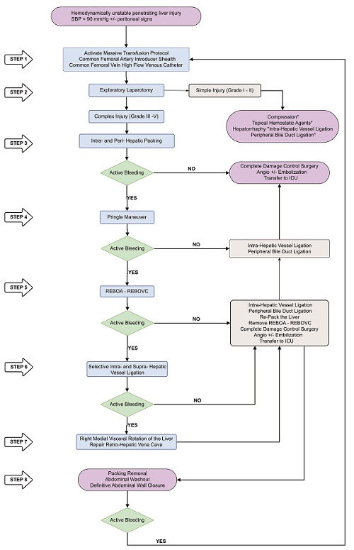 Surgical Management of Hemodynamically Unstable Penetrating Liver Trauma