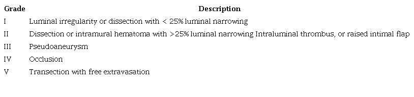 Denver Grading Scale for Blunt Carotid and Vertebral Artery Injury 17