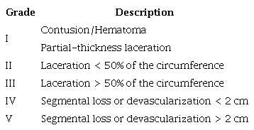 AAST Esophageal Injury Classification