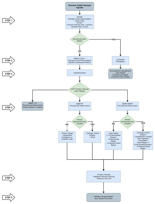 Surgical Management Algorithm of Thoracic Outlet Vascular Injuries. 