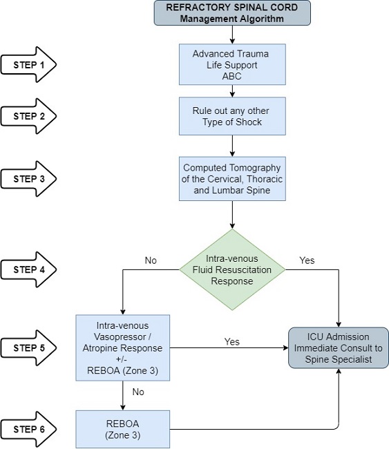 Refractory Neurogenic Shock Management Algorithm. 