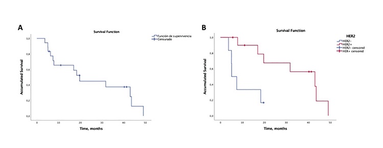 Kaplan-Meier curves for: a) overall probability of survival post-SRS/fSRS, b) survival according to HER2 status.