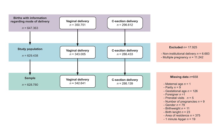 Flow diagram of the study population