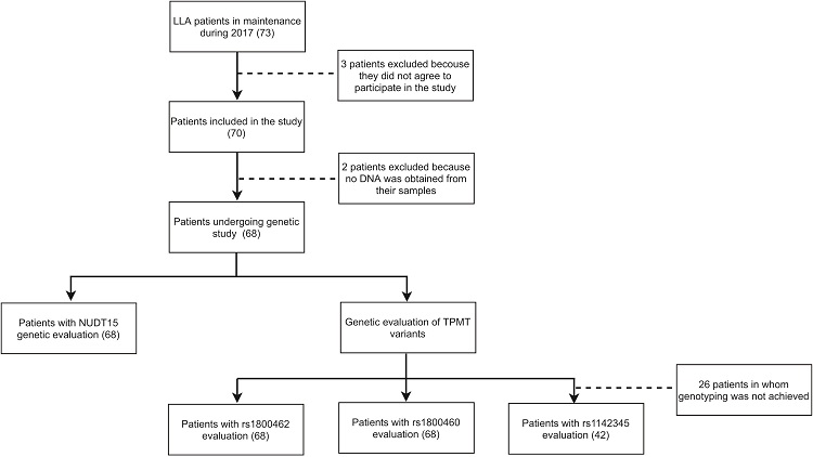 Patients' inclusion flowchart. This diagram shows how the inclusion of patients in the study was carried out and the details of the performance of the genetic studies.