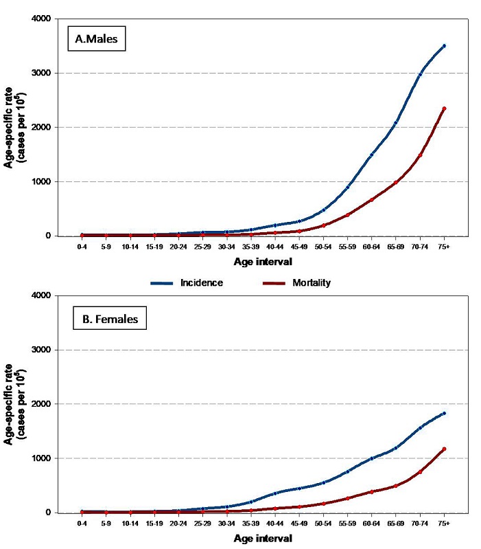 Age specific incidence and mortality rates. Uruguay. A. Males B. Females 2013-2017