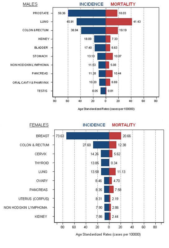 Incidence and mortality age standardized rates for the leading sites by sex. Uruguay. 2013-2017