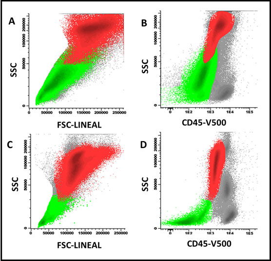 Effect of vitamin B12 administration on FSC/SSC precursors of erythroblasts (light green) and neutrophils (red) in a patient with megaloblastic anemia. A and B: before B12 administration; C and D: 9 days later, an increased proportion of neutrophils and a decrease in the FSC/SSC ratio of both cell groups was observed before total recovery in peripheral blood cell counts.