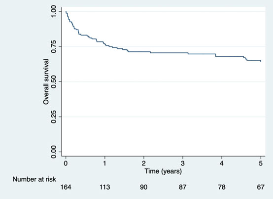 Kaplan-Meier estimate for the overall survival of the included patients.