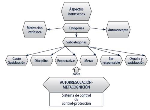 Categorías y subcategorías del componente o aspectos Intrínsecos en función del sistema de control y protección Autorregulación-Metacognición