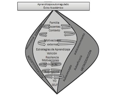 Constructo multidimensional de la autorregulación-metacognición en el éxito académico de los estudiantes