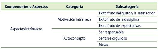 Categorías y subcategorías del componente o aspectos intrínsecos