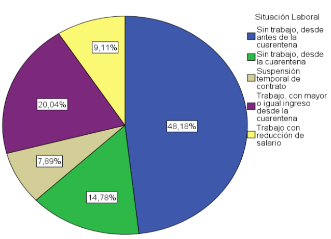 Situaci&oacute;n laboral