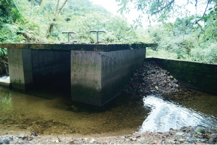 Caja de
captación donde solo se entuba una parte del río.