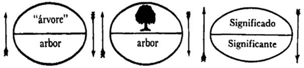 A estrutura do significante segundo Saussure:
