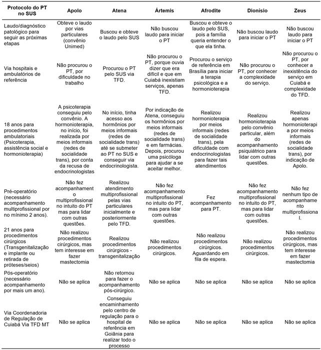 Protocolo, rotas e estrat&eacute;gias - processo transexualizador (PT) no SUS.