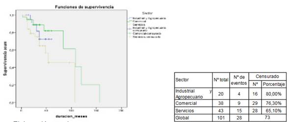 6 Supervivencia y Sector económico