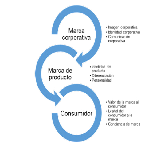 Proceso de creación y desarrollo de una marca
