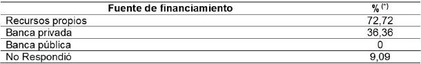 Fuentes
de financiamiento utilizadas para la inversión en tecnología