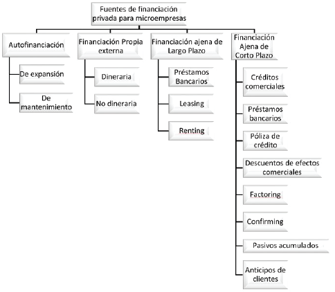 Fuentes
de financiación privada para microempresas