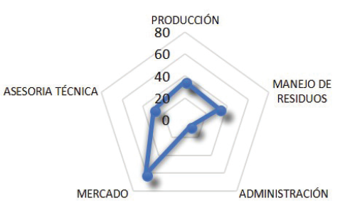 Adopción
de innovaciones por categoría de las agroindustrias 

 