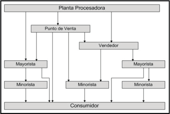 Canales
de distribución del sector estudiado
