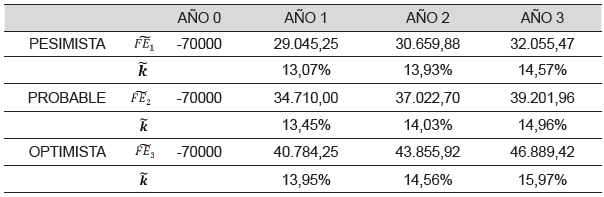  Flujos de Caja y Costo de Capital (TMAR) 