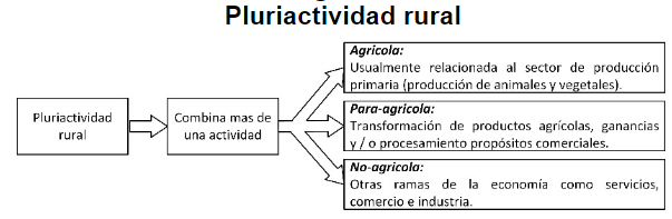 Pluriactividad rural