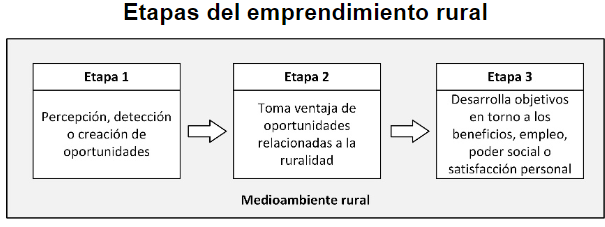 Etapas del emprendimiento rural