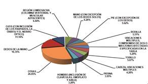  Notificaciones de accidentes de trabajo según la parte del cuerpo