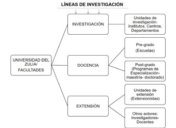  Funciones esenciales en la praxis universitaria 