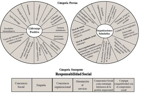 Categoras y Subcategoras resultantes de la triangulacin 