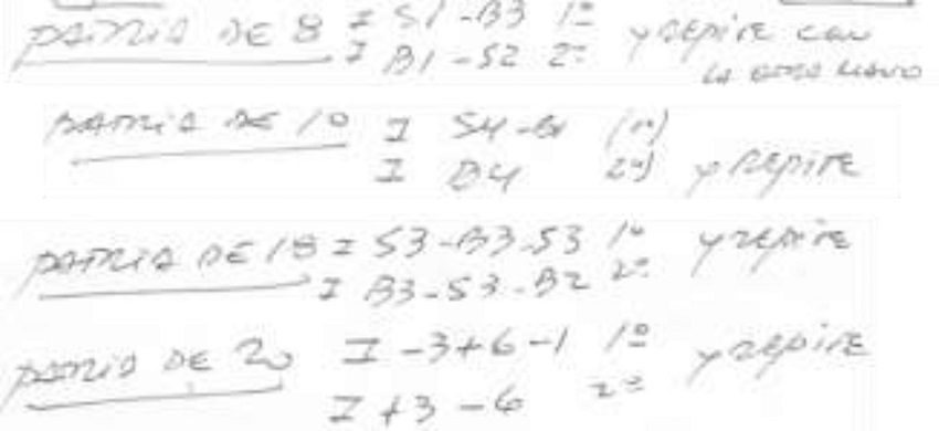 Material proporcionado por el artesano B con pasadas de trenzas patrias