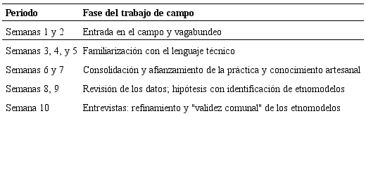 Fases del trabajo de campo etnogr&aacute;fico
