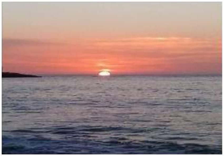 Plantaci&oacute;n de porotos