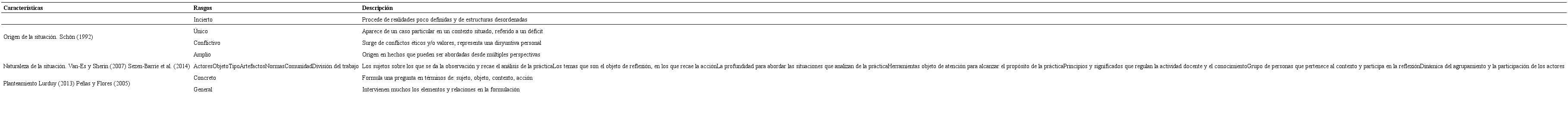 Rasgos que caracterizan la evoluci&oacute;n en la definici&oacute;n del problema profesional