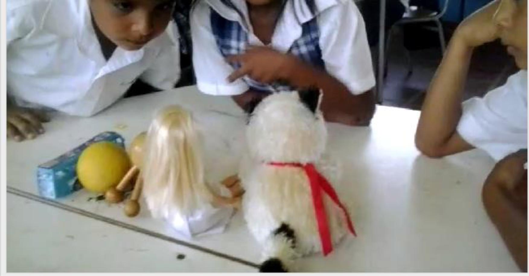 Segundo ordenamiento de los objetos