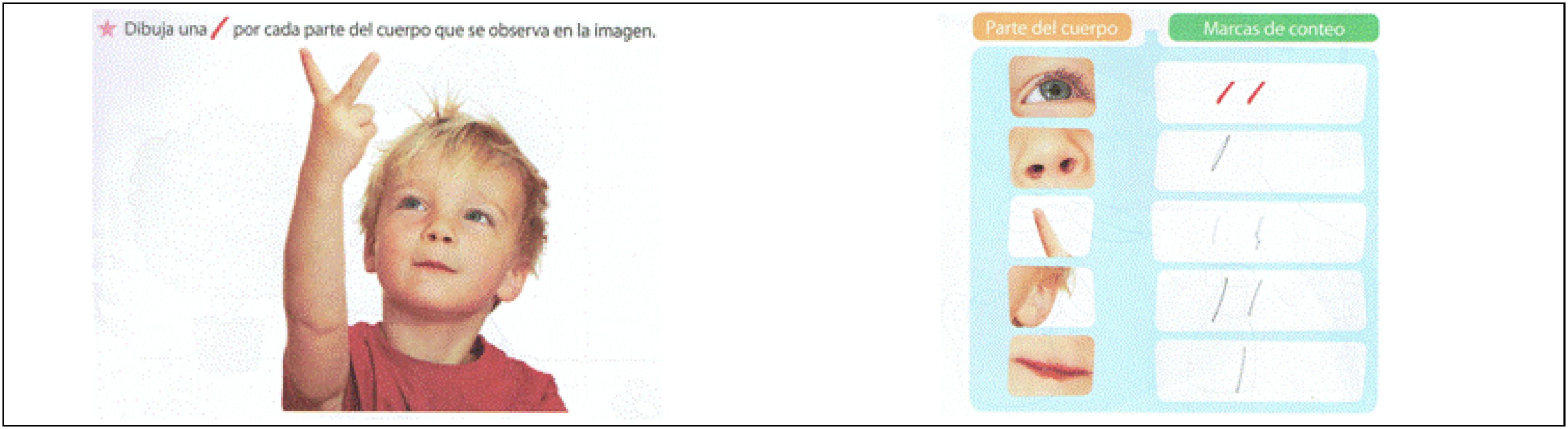 Representaci&oacute;n de informaci&oacute;n en tabla de registro