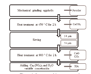 Summary of the process used to obtain hydroxyapatite from
eggshell.