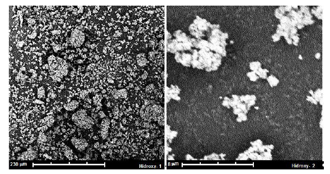 SEM micrography for ceramic  powder of HA
obtained from eggshell