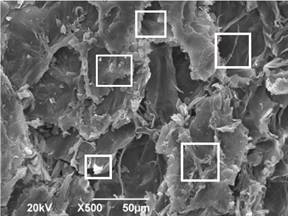 Activated carbon (1:3) microscopy with magnification x500.
