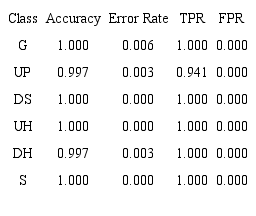 Accuracy, Error Rate, True Positive Rate (TPR) and False Positive Rate (FPR) for movement intention classification for an amputee. 