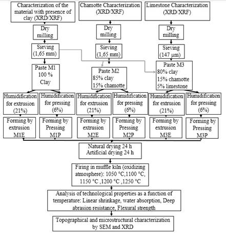 Methodology used for the development of the present study.